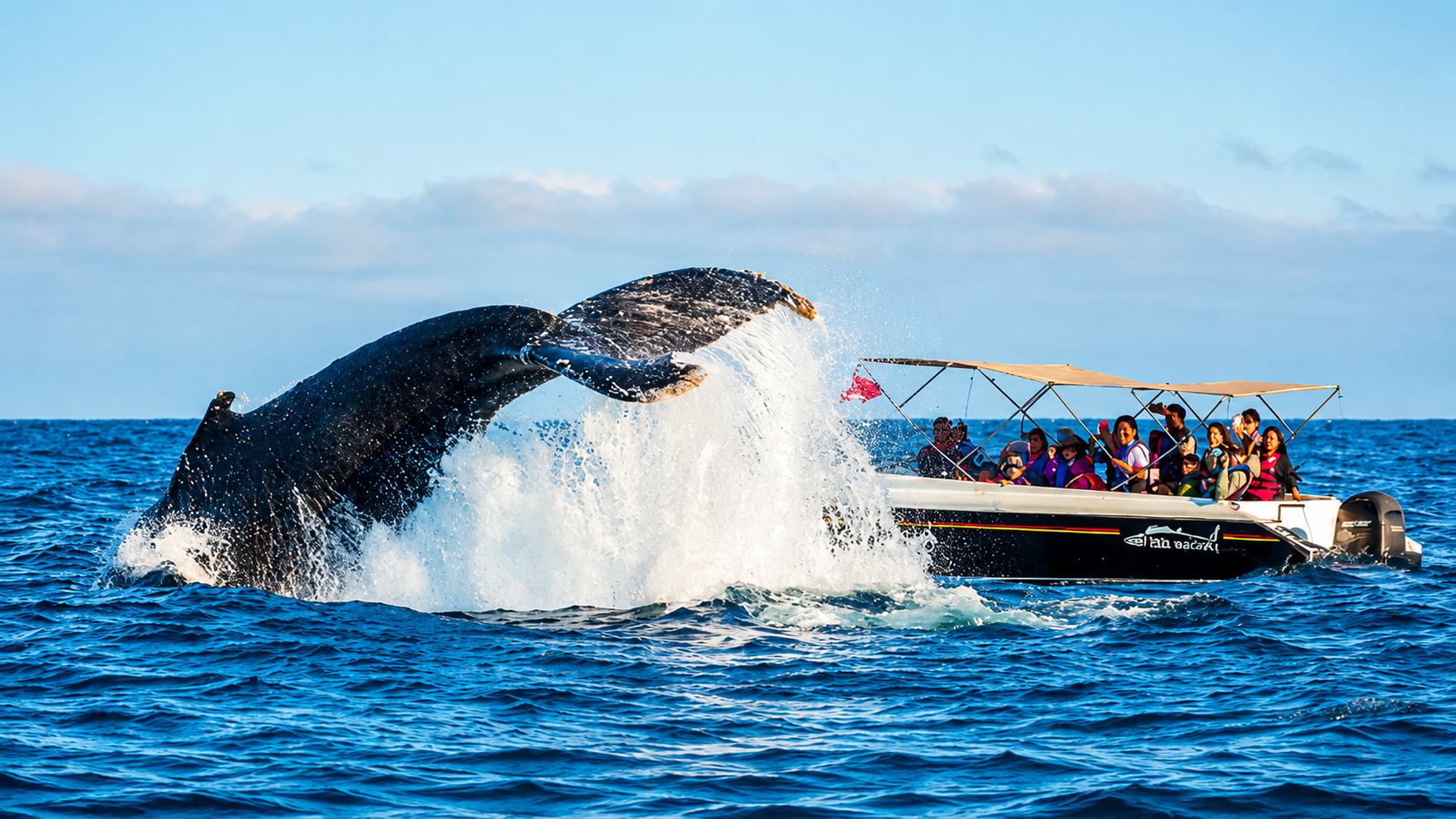 Avistamiento de ballenas en el Pacífico colombiano
