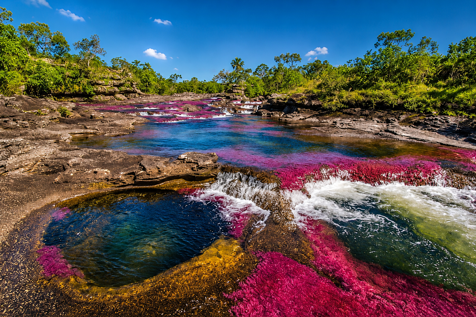 Caño Cristales: río de los cinco colores