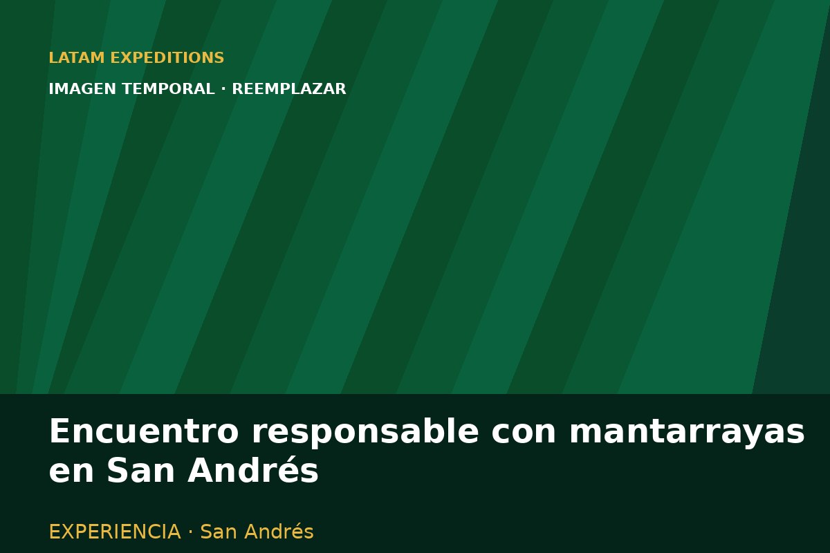 Encuentro responsable con mantarrayas en San Andrés