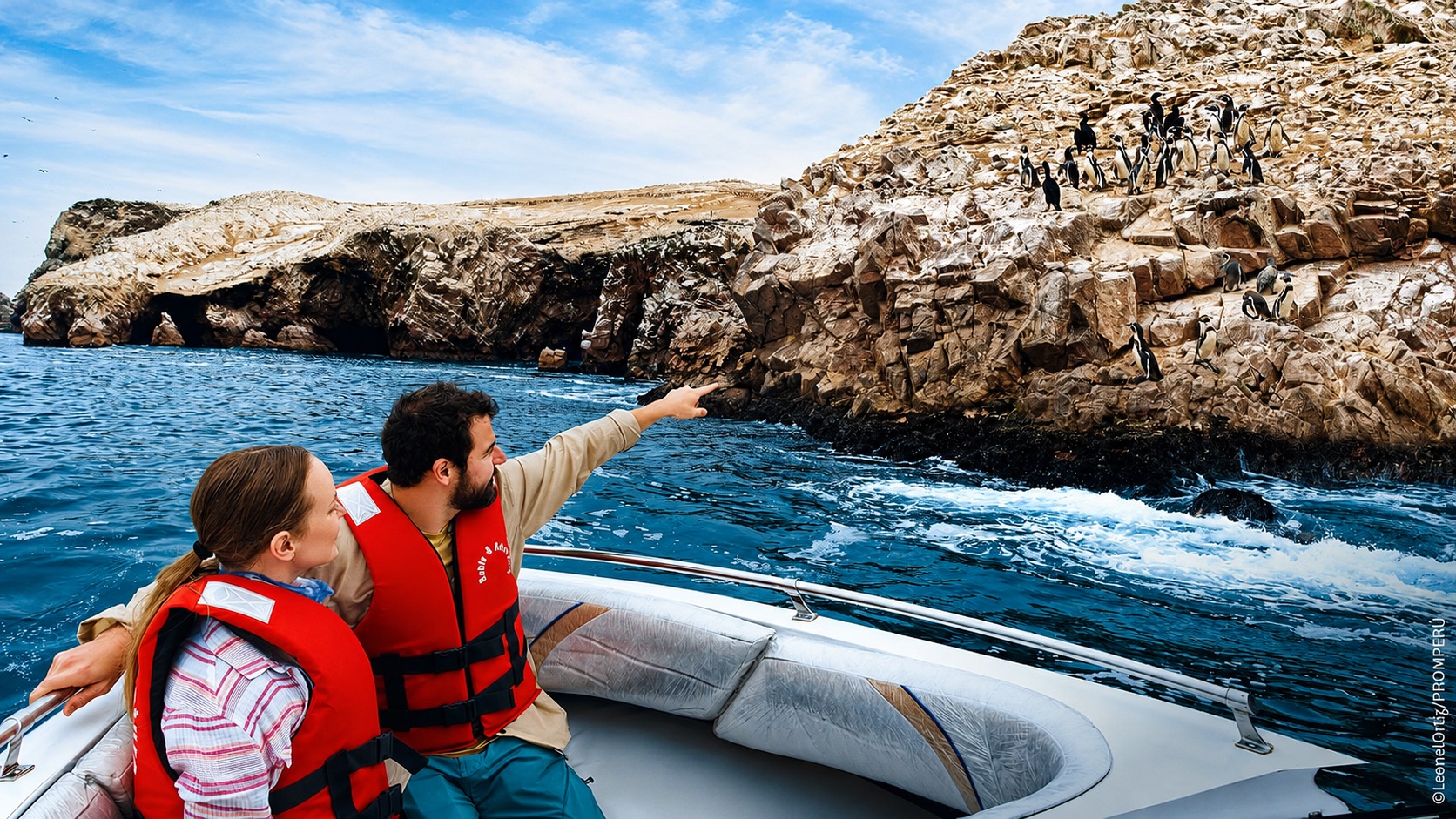 Lobos marinos y aves en las Islas Ballestas